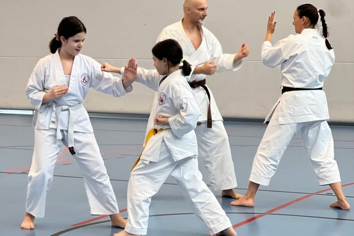Seminar Traditionelles Karate - Kumite 4