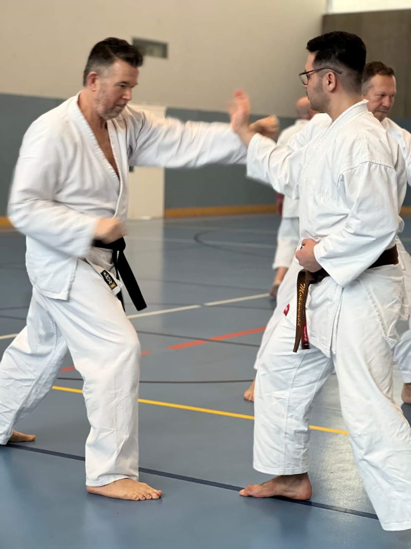 Seminar Traditionelles Karate - Kumite 3