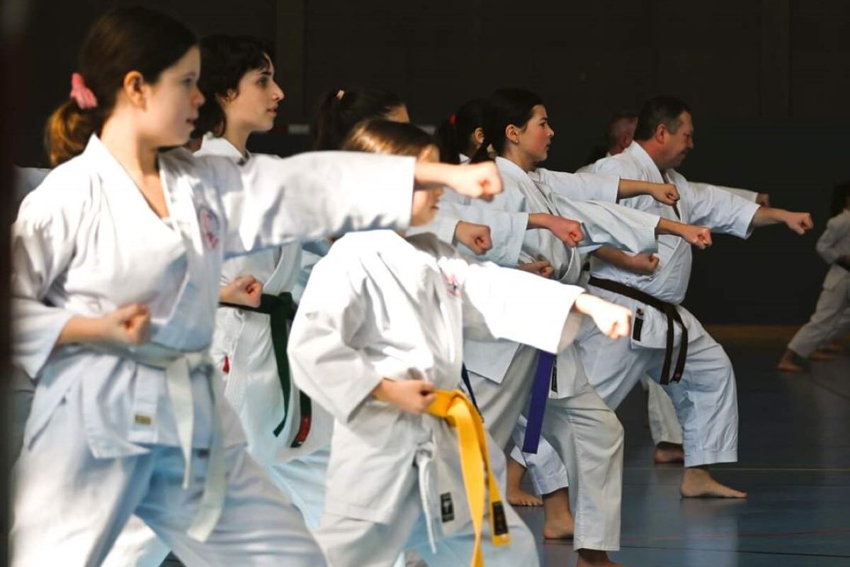 Seminar Traditionelles Karate - Kihon