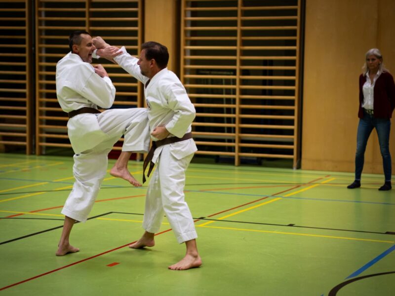 Dan-Prüfung 2024 - Bunkai 3 Ferdinand Peter