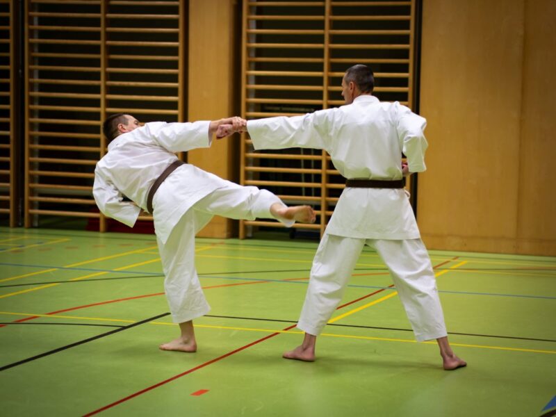 Dan-Prüfung 2024 - Bunkai 2 Johann Ferdinand