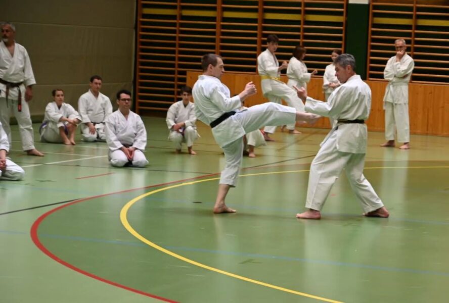 NÖ-Karatetag 2025 - Sensei Fritz mit Johann