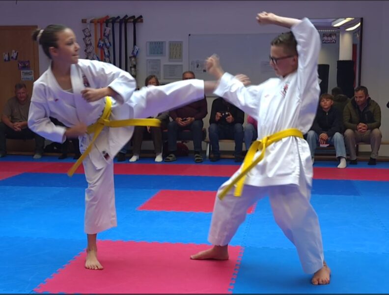 Orangegurtprüfung 2025 - Bunkai Clara Michael