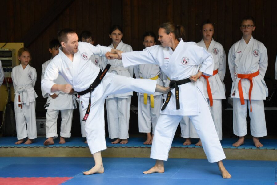 Fest der Vereine 2025 - Bunkai Johann Tamara