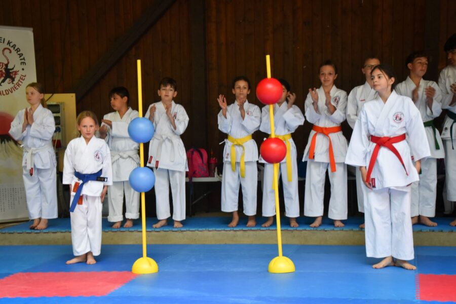 Fest der Vereine 2025 - Kumite am Ball Sabrina Sofiia
