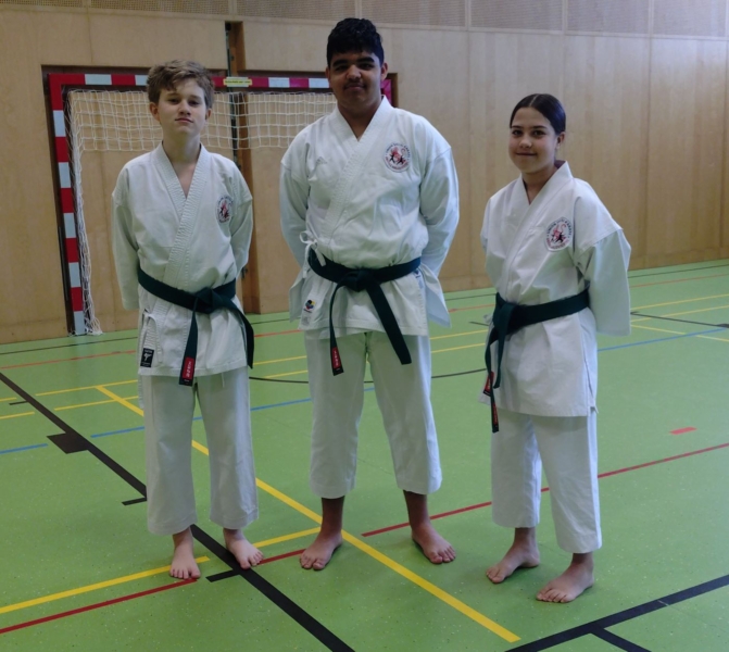 Bassai-Dai Seminar 2025 - Elisa, Jonas, Darius Bassai-Dai Seminar 2025 - Elisa, Jonas, Darius