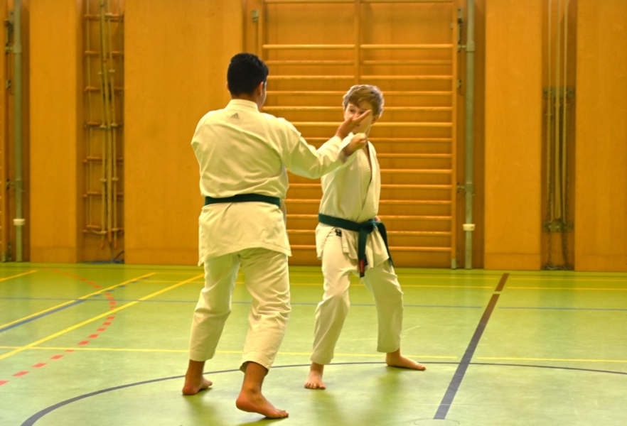Bassai-Dai Seminar 2025 - Bunkai Darius und Jonas 1 Bassai-Dai Seminar 2025 - Bunkai Darius und Jonas 1
