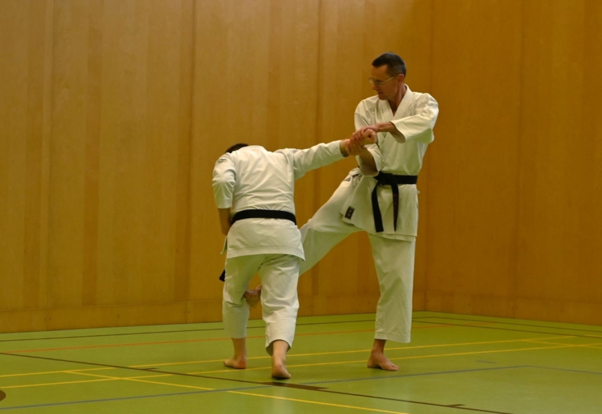 Bassai-Dai Seminar 2025 - Bunkai Johann und Ferdinand 2 Bassai-Dai Seminar 2025 - Bunkai Johann und Ferdinand 2