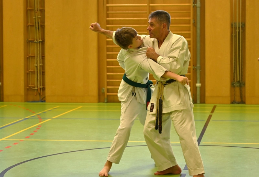 Bassai-Dai Seminar 2025 - Bunkai Jonas mit Sensei Fritz Bassai-Dai Seminar 2025 - Bunkai Jonas mit Sensei Fritz