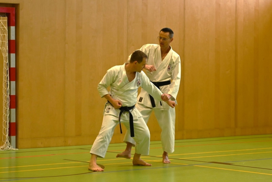 Bassai-Dai Seminar 2025 - Bunkai Johann und Ferdinand 3 Bassai-Dai Seminar 2025 - Bunkai Johann und Ferdinand 3