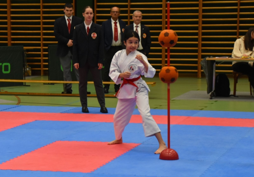 Landesmeisterschaft 2026 - Bianca Kumite am Ball Landesmeisterschaft 2026 - Bianca Kumite am Ball