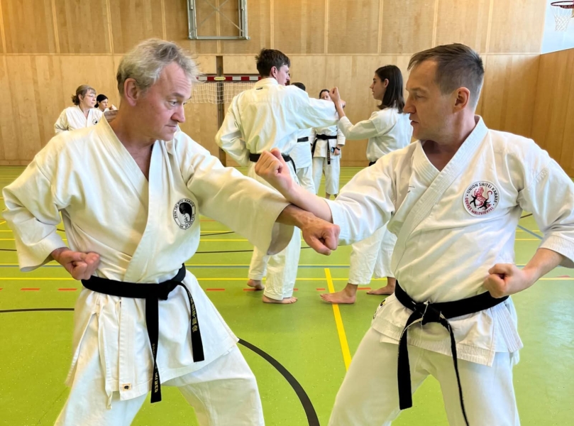 Shorin Ryu Lehrgang - Bunkai 1