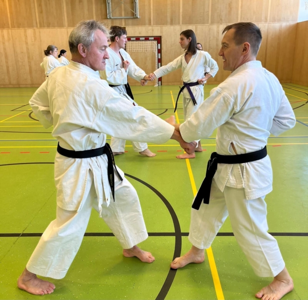 Shorin Ryu Lehrgang - Bunkai 2