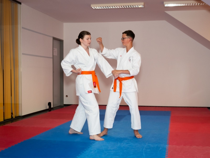 Grüngurtprüfung Bunkai Michael Katharina 1 Grüngurtprüfung Bunkai Michael Katharina 1