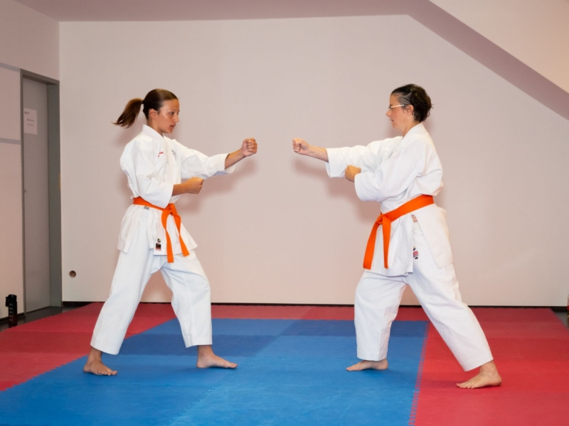 Grüngurtprüfung Bunkai Clara Verena 1 Grüngurtprüfung Bunkai Clara Verena 1