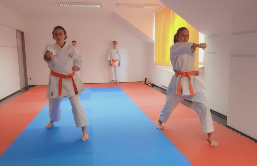 Grüngurtprüfung Kihon Clara Verena 1 Grüngurtprüfung Kihon Clara Verena 1