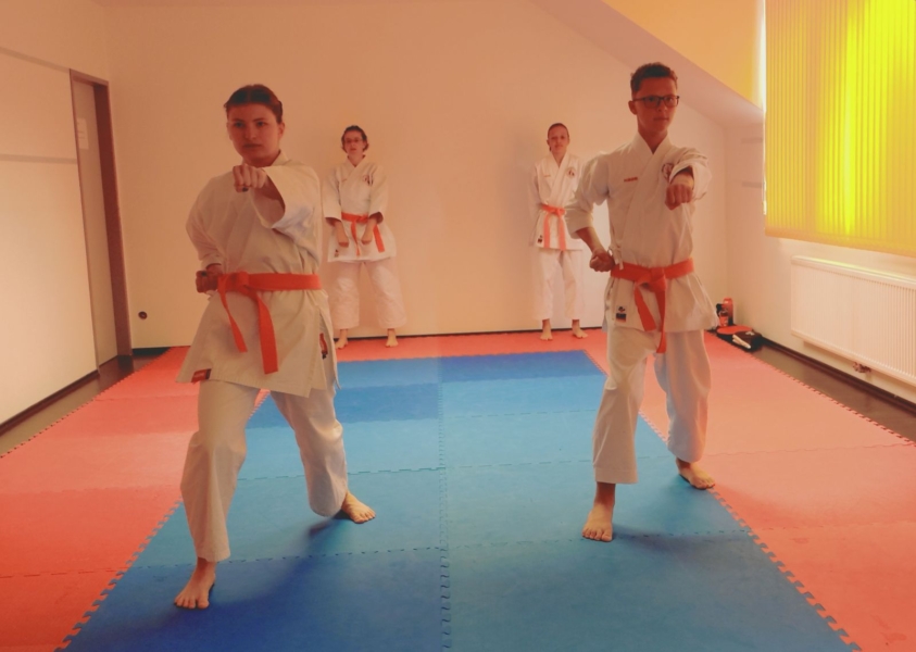 Grüngurtprüfung Kihon Katharina Michael 1 Grüngurtprüfung Kihon Katharina Michael 1