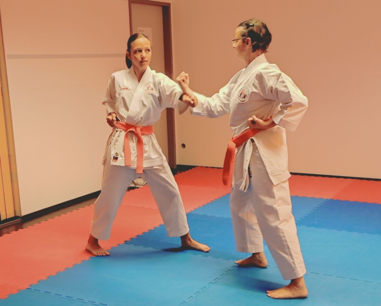 Grüngurtprüfung Partnerkumite Clara Verena 1 Grüngurtprüfung Partnerkumite Clara Verena 2