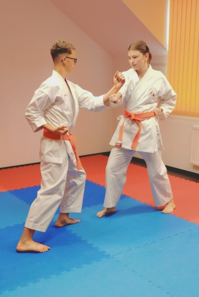 Grüngurtprüfung Partnerkumite Katharina Michael 1 Grüngurtprüfung Partnerkumite Katharina Michael 1