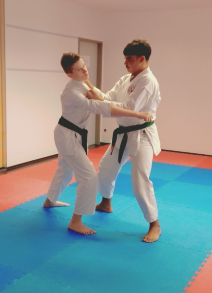 Blaugurtprüfung 2026 Bunkai Jonas Darius Blaugurtprüfung 2026 Bunkai Jonas Darius