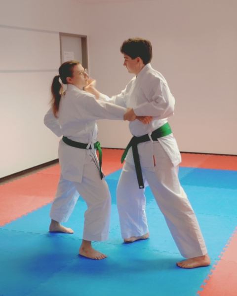 Blaugurtprüfung 2026 Bunkai Sabine Marlon 2 Blaugurtprüfung 2026 Bunkai Sabine Marlon 2