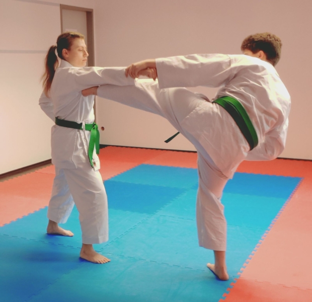 Blaugurtprüfung 2026 Bunkai Sabine Marlon Blaugurtprüfung 2026 Bunkai Sabine Marlon